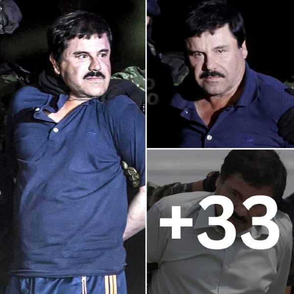 Después de que sus atroces crímenes salieran a la luz pública, El Chapo recibió una sentencia de cadena perpetua en 2019. Era conocido por explotar a las mujeres, a las que inquietantemente llamaba sus "vitaminas", matar a los empleados por...